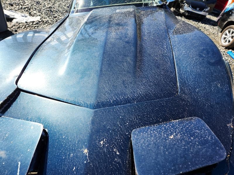 1979 CHEVROLET CORVETTE 11