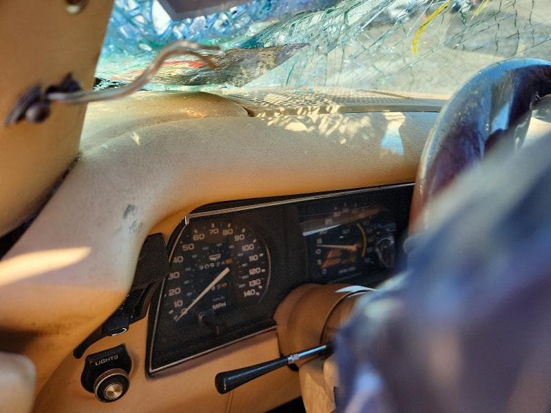 1979 CHEVROLET CORVETTE 9