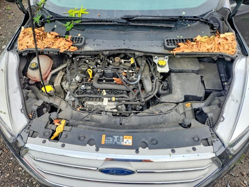 2019 FORD ESCAPE SE 12