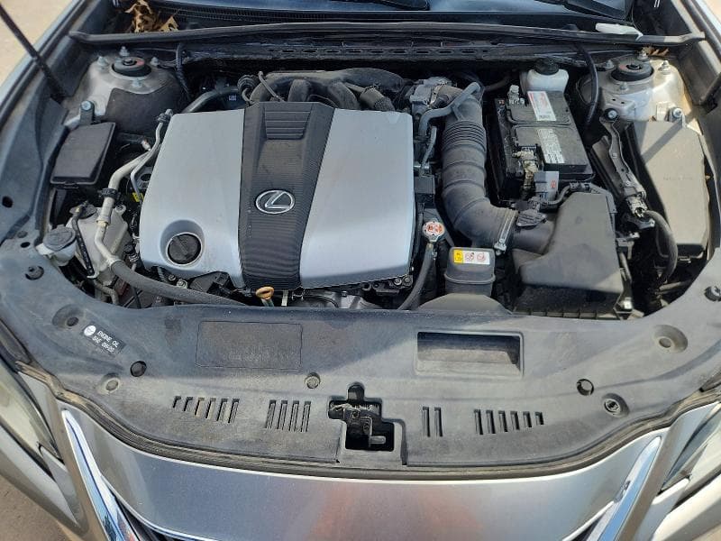 2019 LEXUS ES 350 350 11