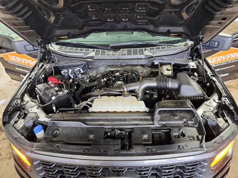 2025 FORD F150 STX 11