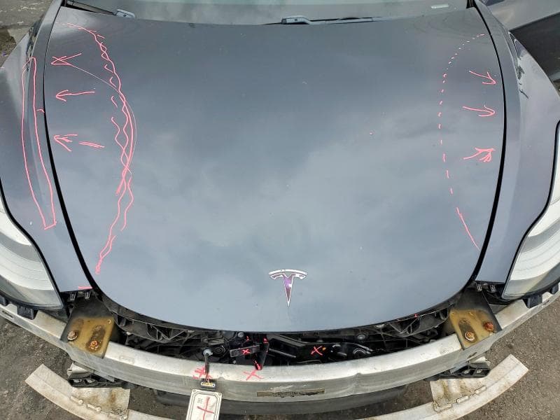 2019 TESLA 3 11