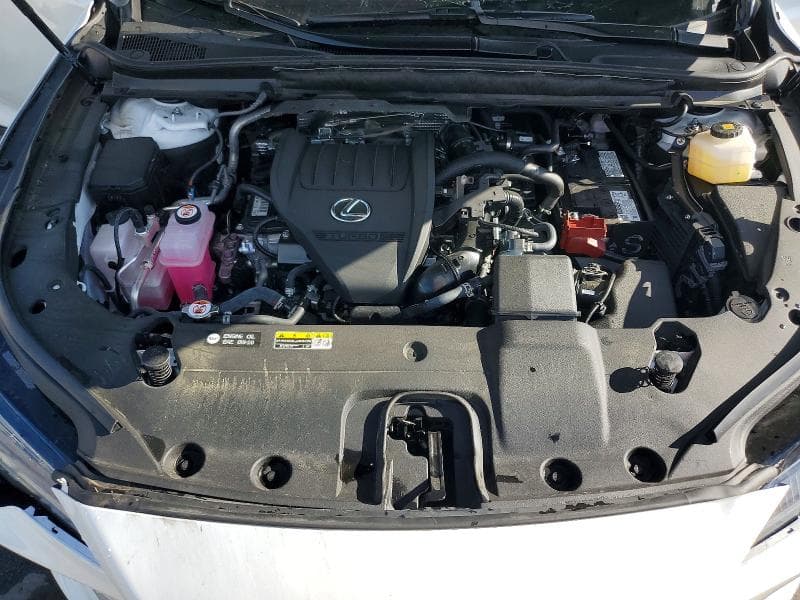 2025 LEXUS RX 350 LUXURY LUXURY 12
