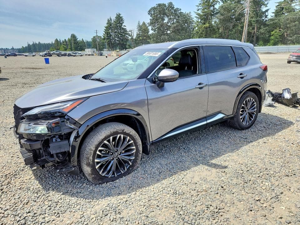 2025 NISSAN ROGUE PLATINUM - 1