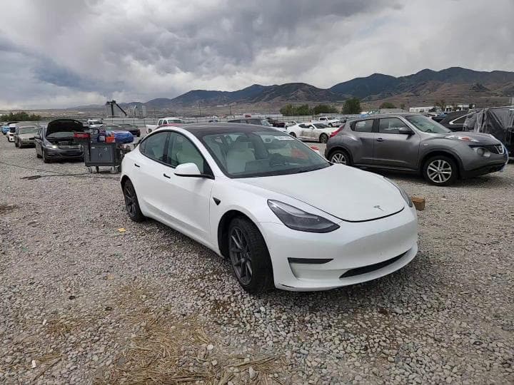 2021 TESLA MODEL 3 13