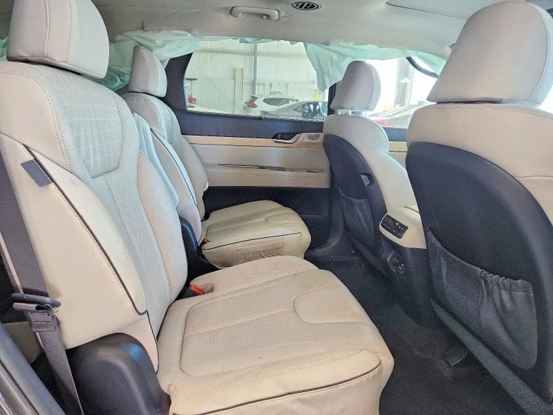 2024 HYUNDAI PALISADE LIMITED 10