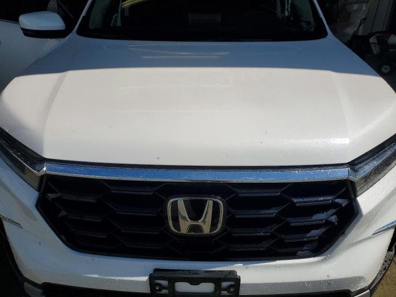 2025 HONDA PILOT TOURING 12