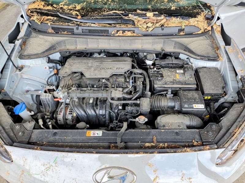 2023 HYUNDAI KONA SEL SEL 11