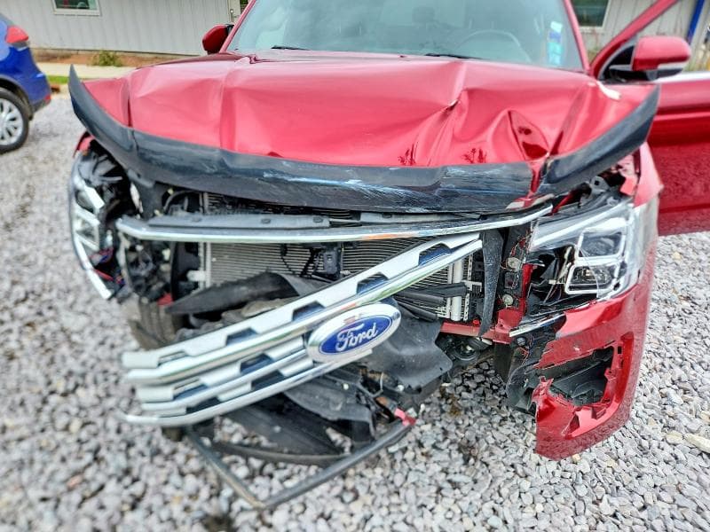 2019 FORD EXPEDITION MAX LIMITED 12