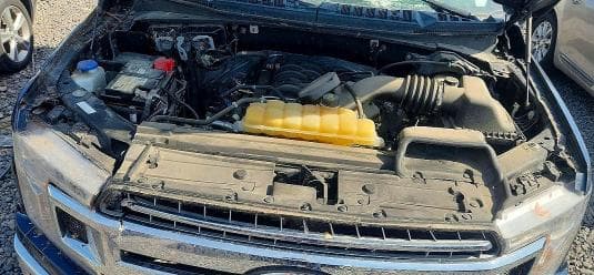 2019 FORD F150 SUPERCREW SUPERCREW 11