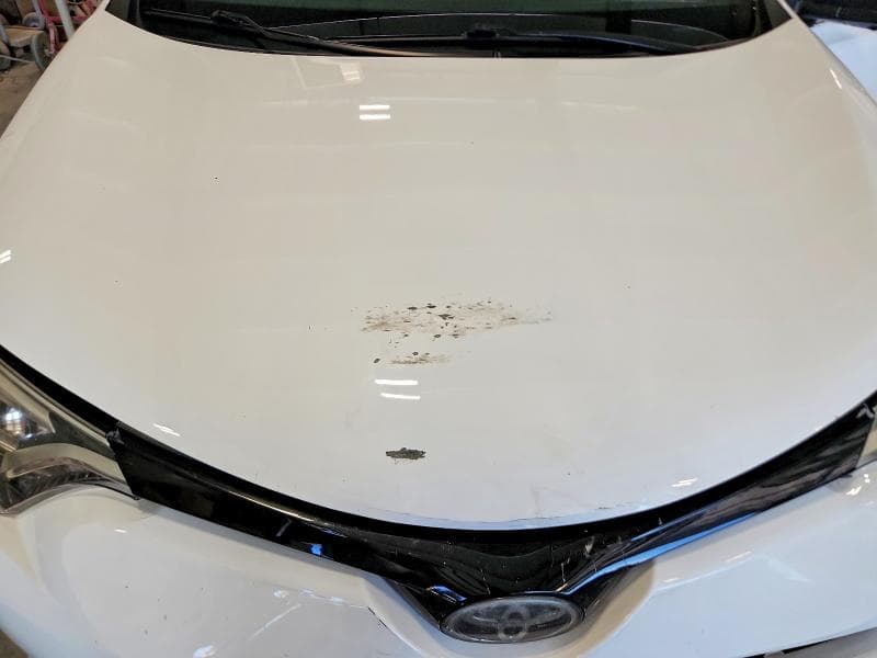 2016 TOYOTA RAV4 SE SE 11