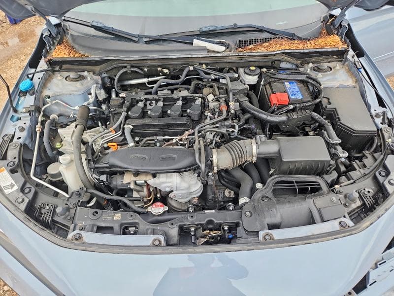 2023 HONDA CIVIC TOURING TOURING 11