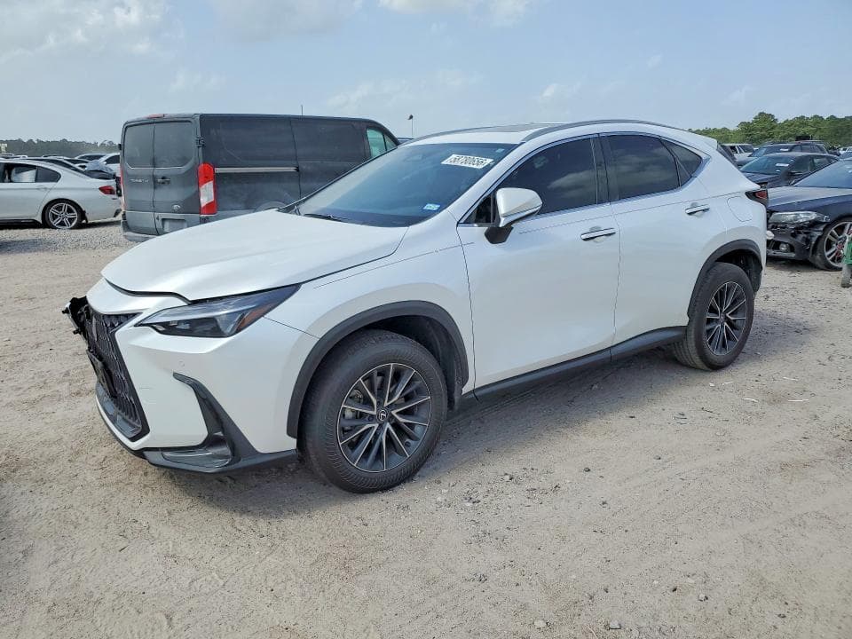 2024 LEXUS NX 250 PREMIUM 1