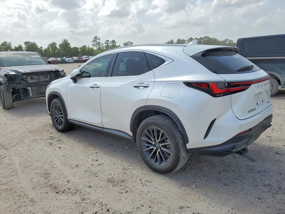 2024 LEXUS NX 250 PREMIUM 2