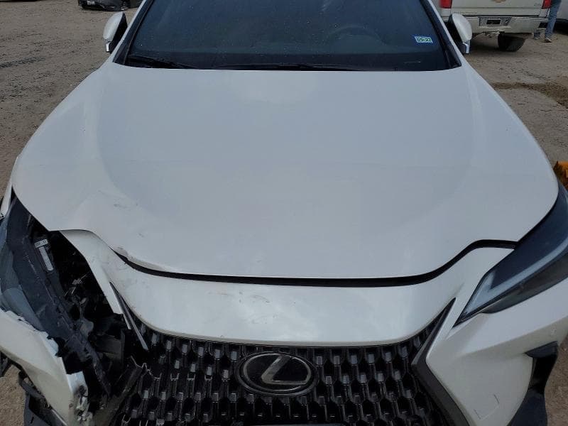2024 LEXUS NX 250 PREMIUM 12
