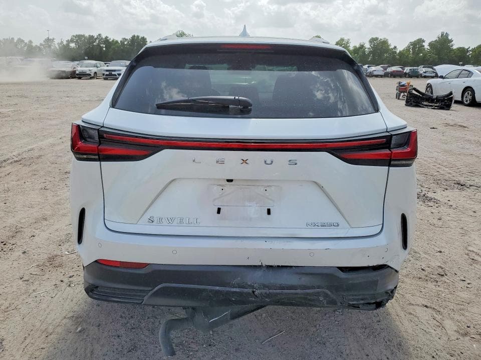 2024 LEXUS NX 250 PREMIUM 6