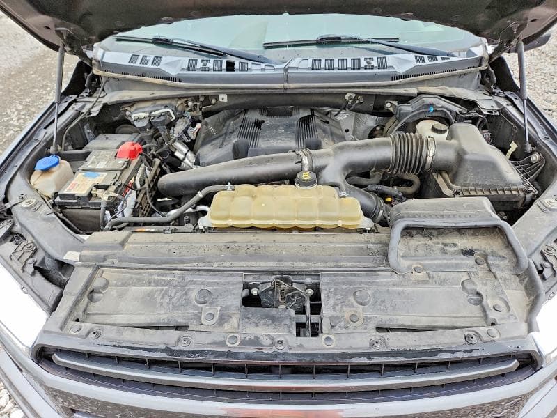2019 FORD F150 SUPERCREW 11