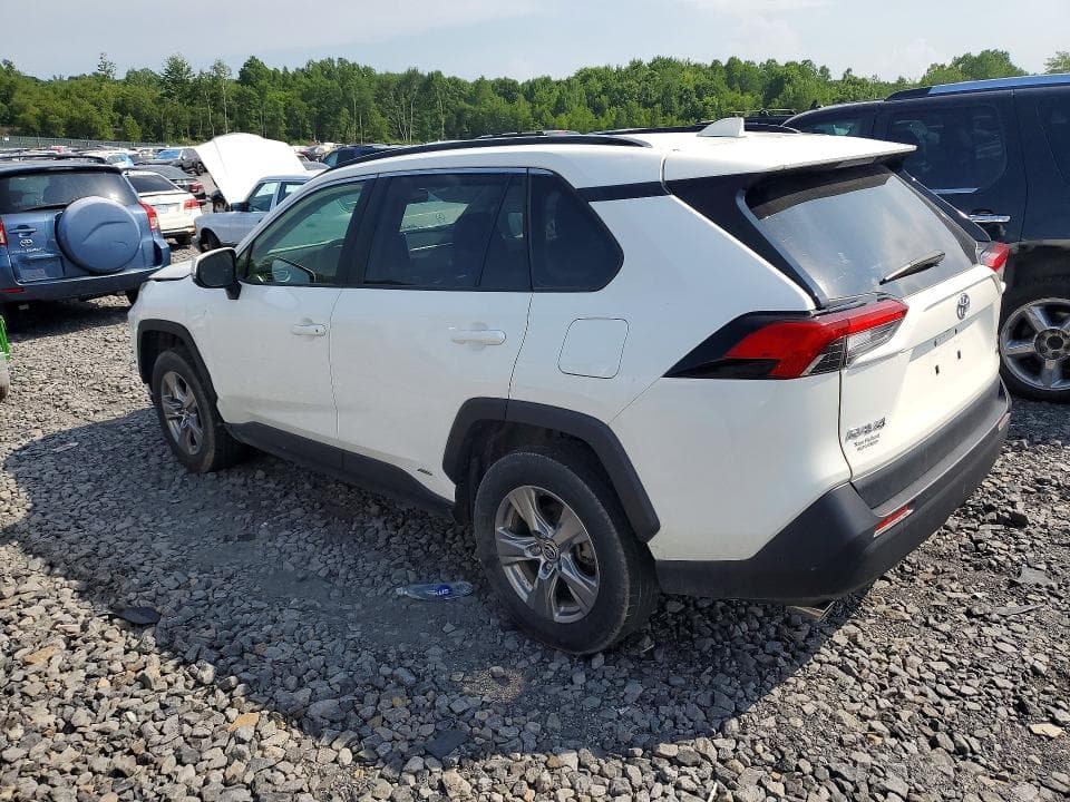 2025 TOYOTA RAV4 LE 2