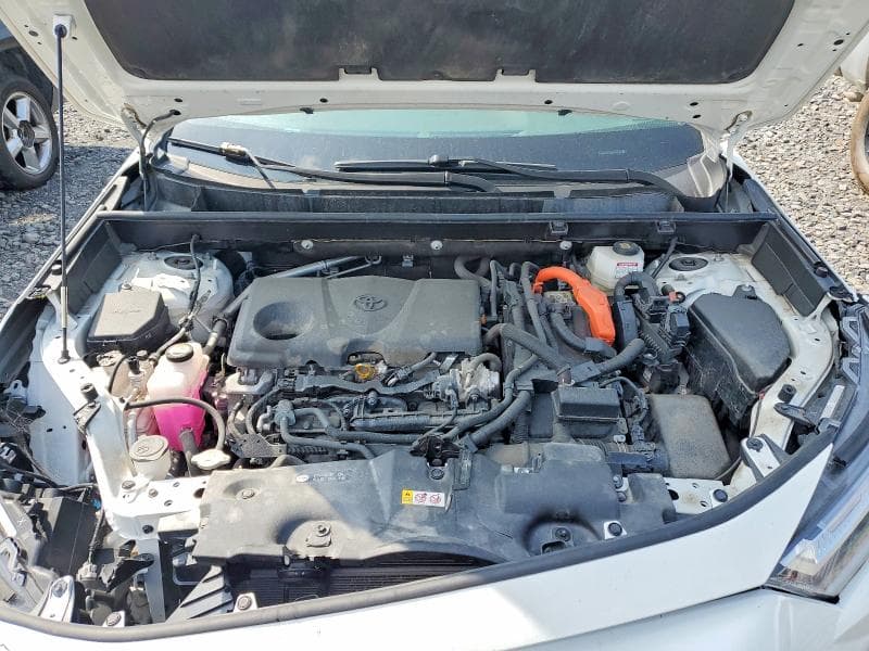 2025 TOYOTA RAV4 LE 12