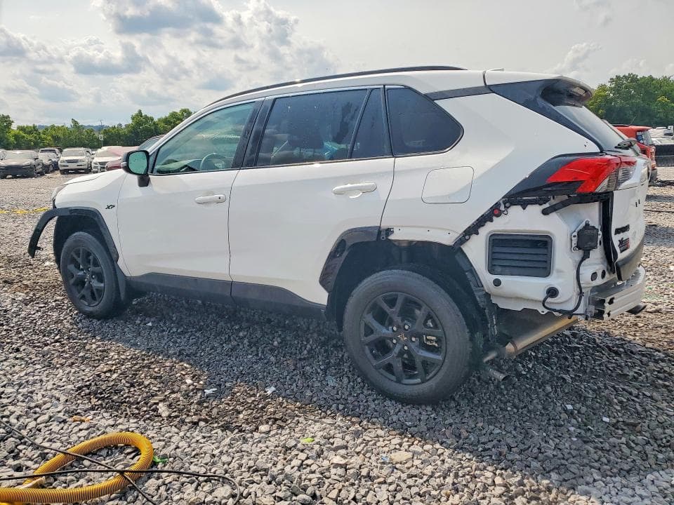 2024 TOYOTA RAV4 XLE XLE 2