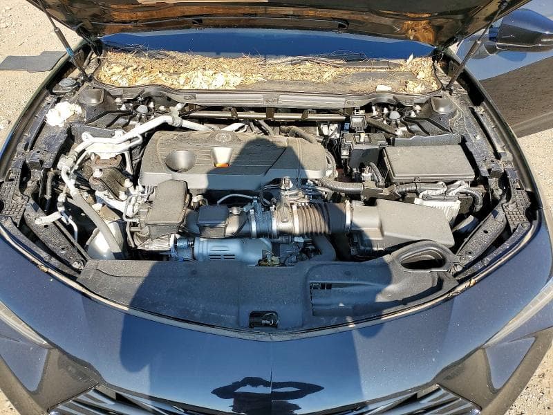 2024 ACURA TLX A-SPEC 11