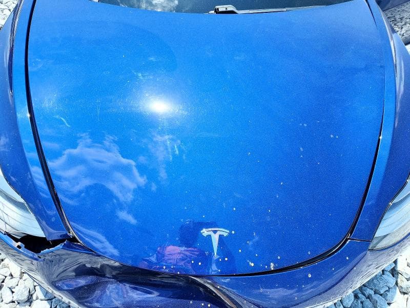 2021 TESLA MODEL 3 11