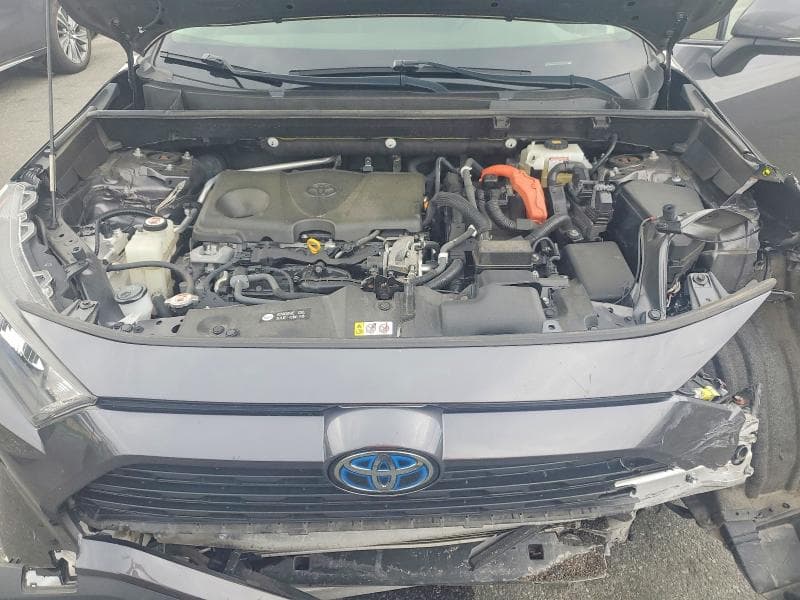2019 TOYOTA RAV4 LE 12