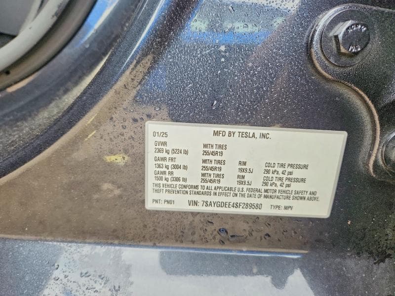 2025 TESLA MODEL Y 12