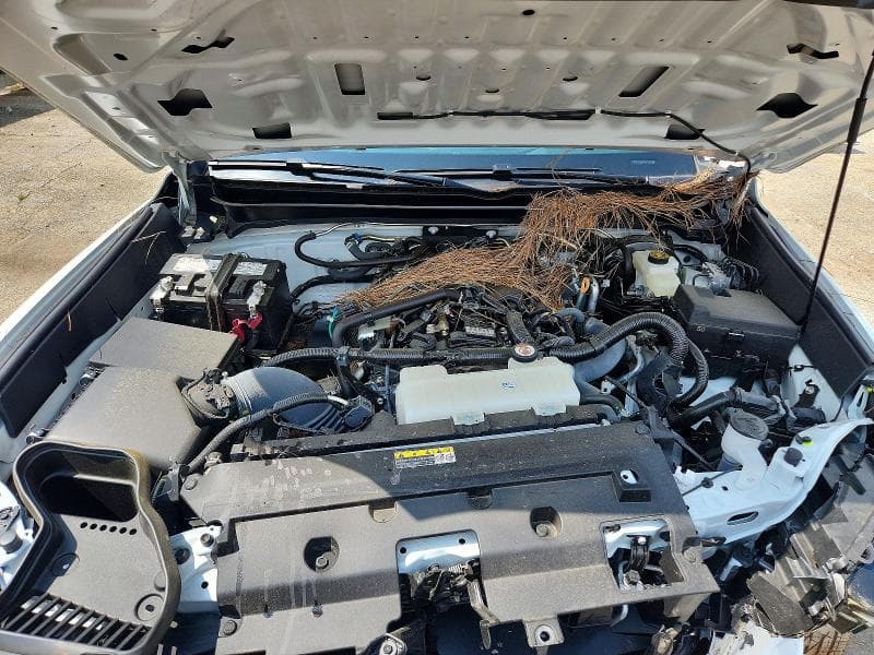 2025 TOYOTA TACOMA SR SR 11