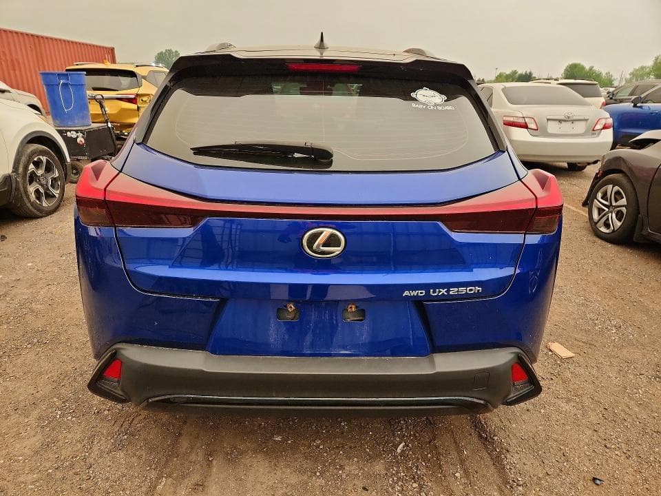2024 LEXUS UX 250H F SPORT DESIGN 6