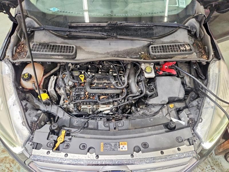 2017 FORD ESCAPE SE SE 12