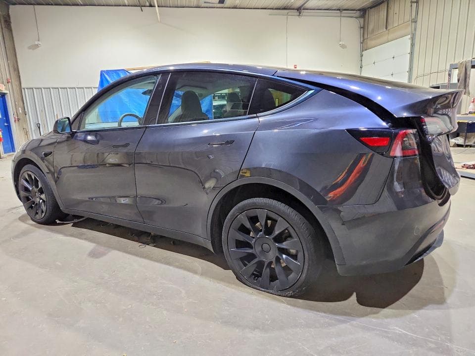 2024 TESLA MODEL Y 2