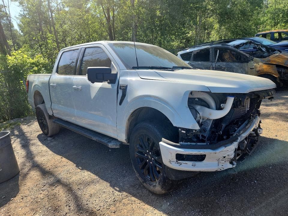 2024 FORD F150 XLT 4