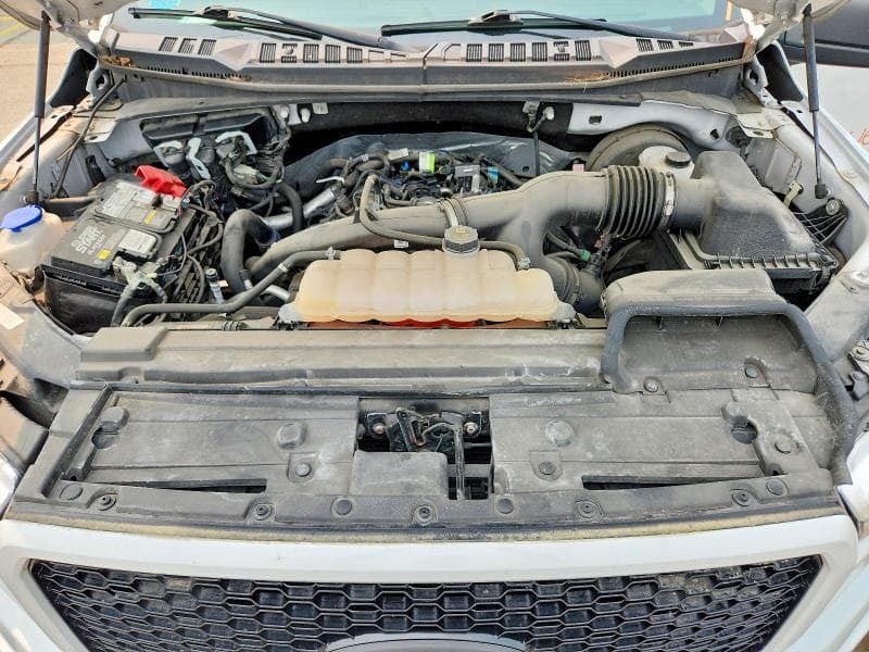 2019 FORD F150 SUPERCREW SUPERCREW 11