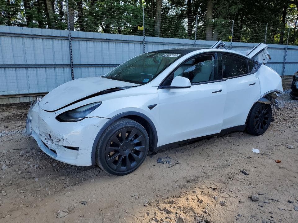 2020 TESLA MODEL Y - 1