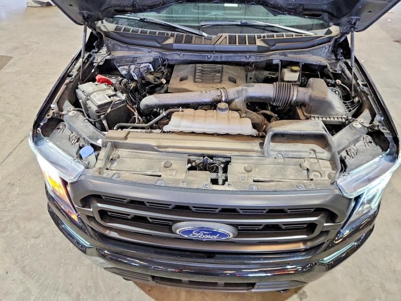 2023 FORD F150 SUPERCREW 11