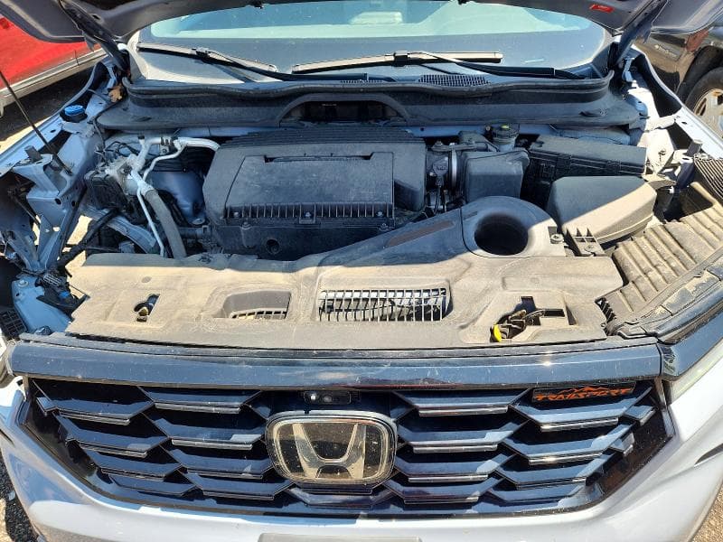 2023 HONDA PILOT TRAILSPORT 11