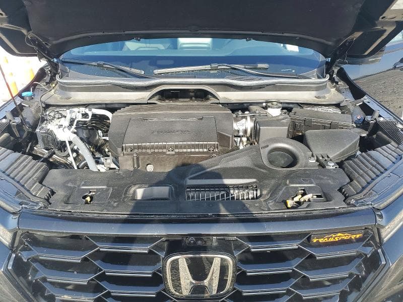 2025 HONDA PILOT TRAILSPORT 12