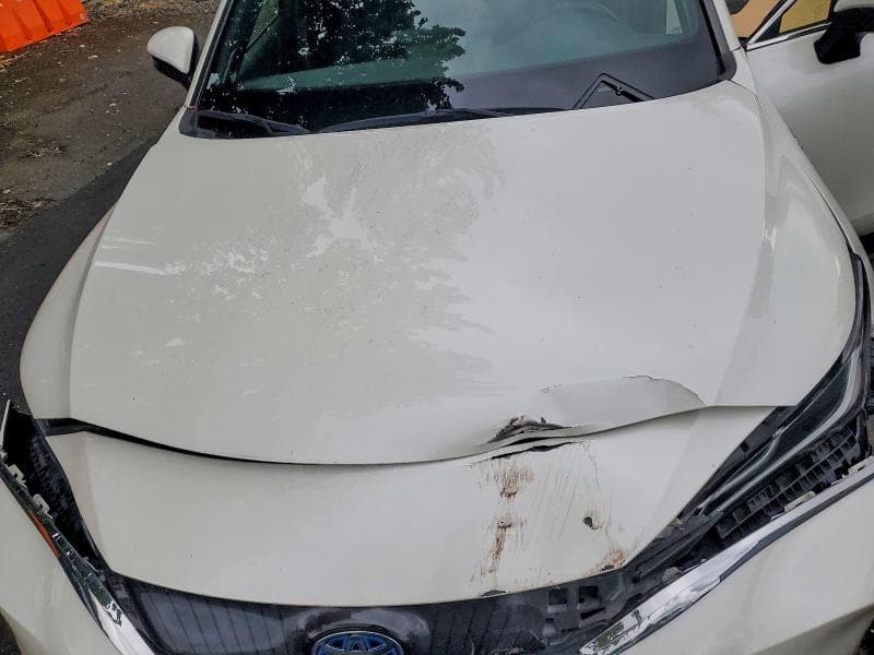 2021 TOYOTA VENZA XLE 11