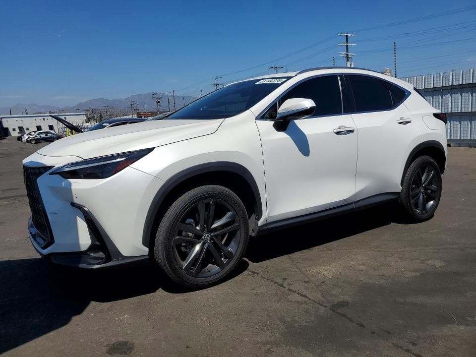 2024 LEXUS NX 450H+ BASE - 1