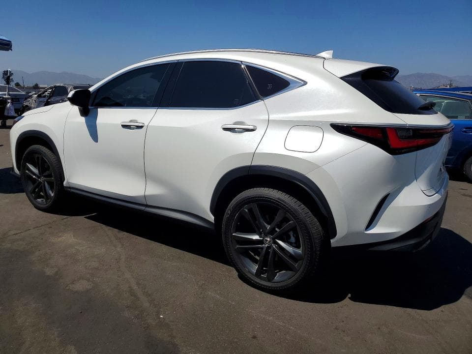 2024 LEXUS NX 450H+ BASE 2