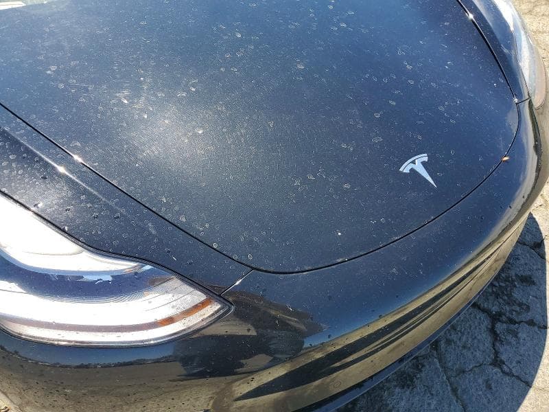 2021 TESLA MODEL 3 12
