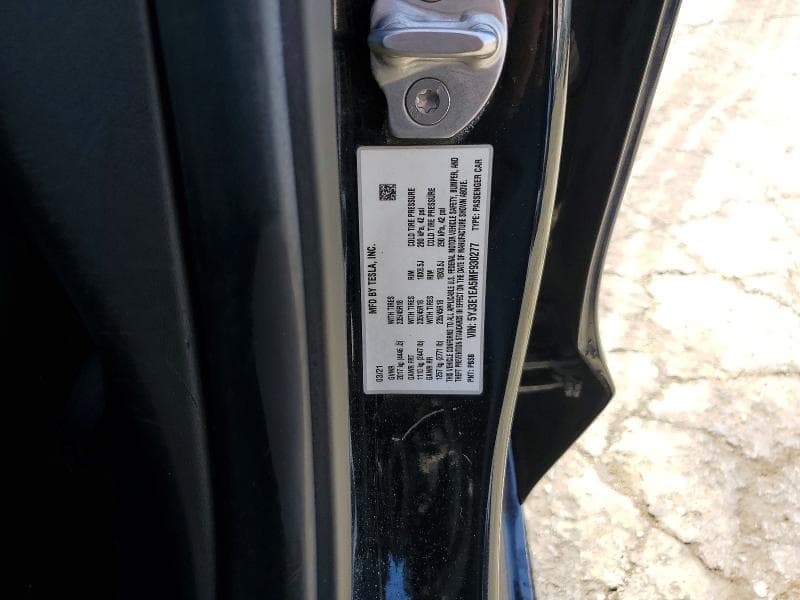2021 TESLA MODEL 3 13