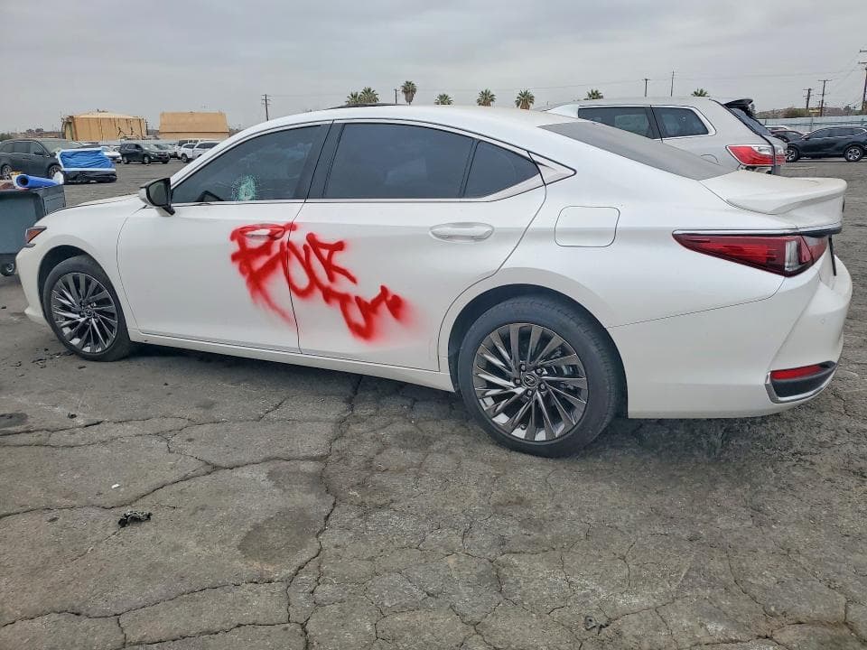 2025 LEXUS ES 300H LUXURY 2
