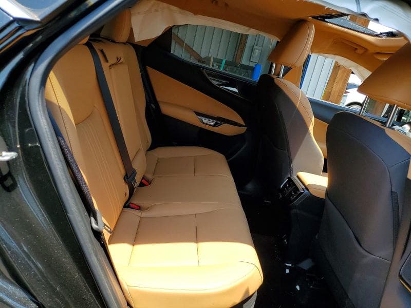 2025 LEXUS NX 350H PREMIUM 10
