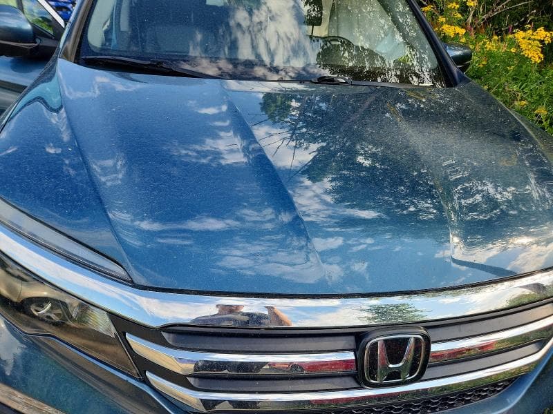 2017 HONDA PILOT EXLN 12