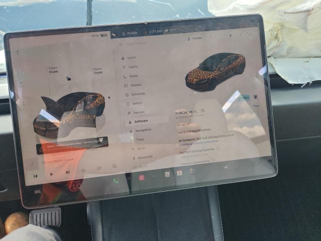 2025 TESLA MODEL 3 9