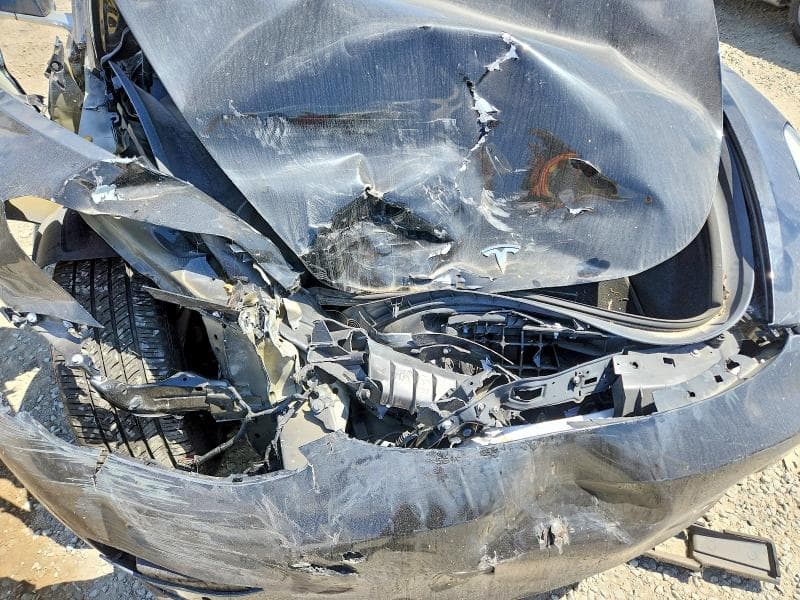 2019 TESLA MODEL 3 11