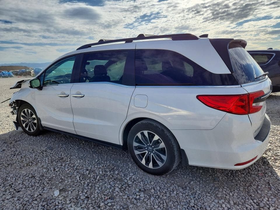 2023 HONDA ODYSSEY EXL 2