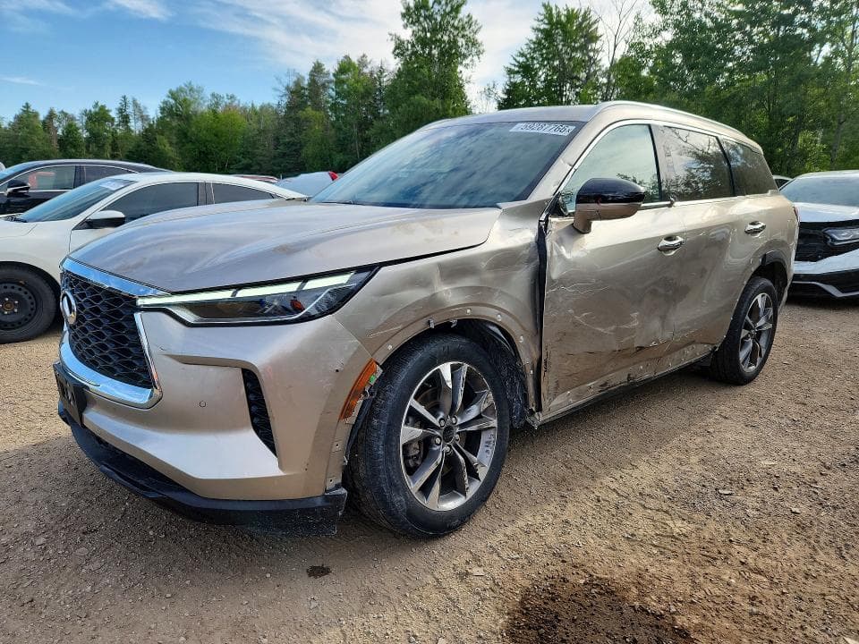 2023 INFINITI QX60 LUXE - 1